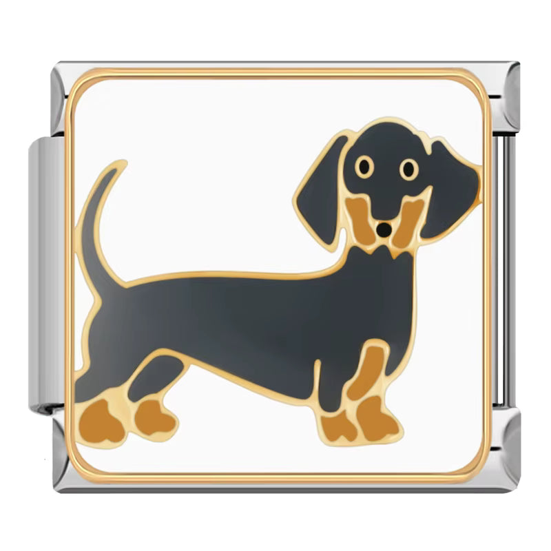 Charm Dog Salsicha - Blisca®