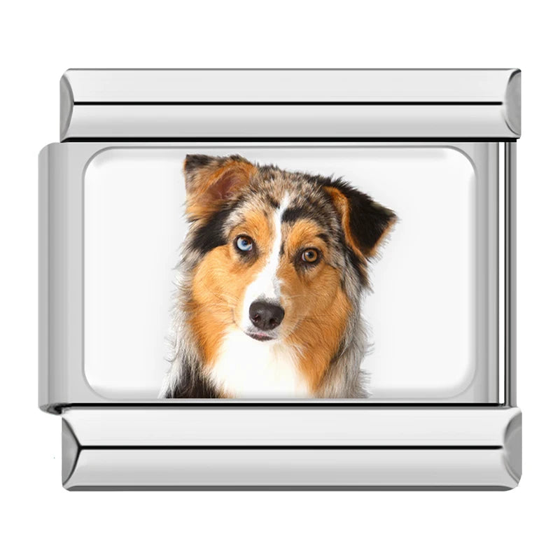 Charm Meu Doguinho - Blisca®