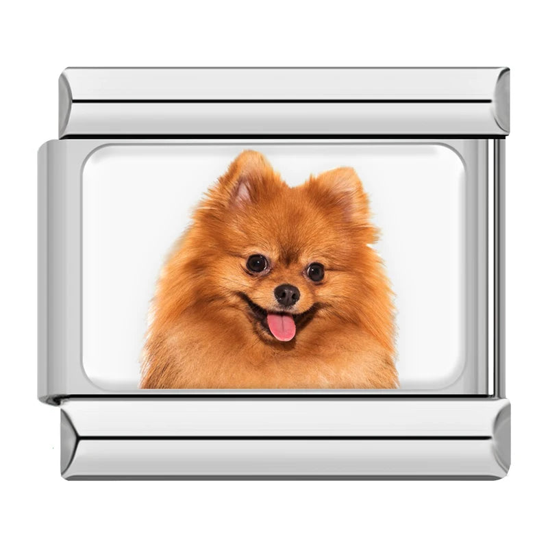 Charm Meu Doguinho - Blisca®