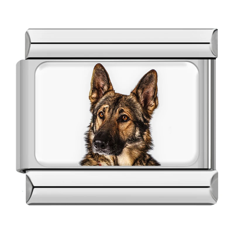 Charm Meu Doguinho - Blisca®