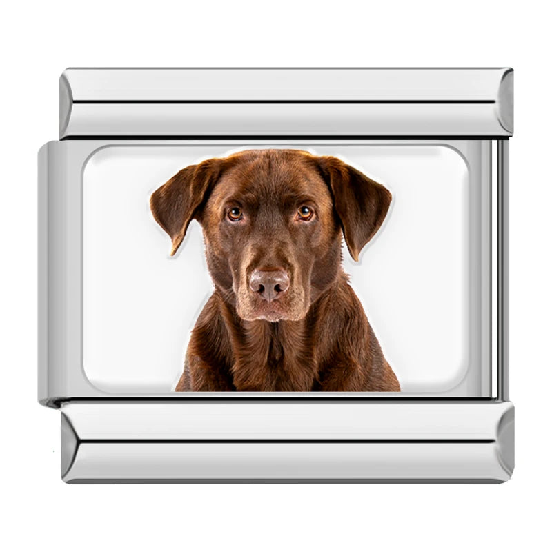 Charm Meu Doguinho - Blisca®