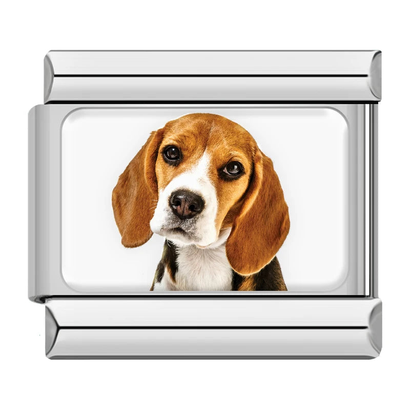 Charm Meu Doguinho - Blisca®