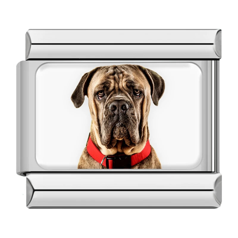 Charm Meu Doguinho - Blisca®