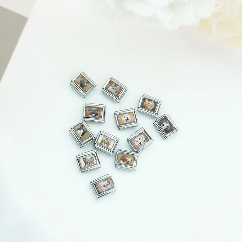 Charm Meu Lindo Pet - Blisca®