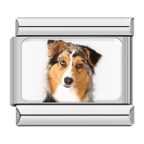 Charm Meu Doguinho - Blisca®
