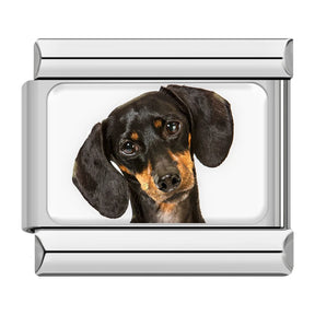 Charm Meu Doguinho - Blisca®