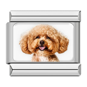 Charm Meu Doguinho - Blisca®