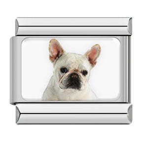 Charm Meu Doguinho - Blisca®