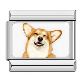 Charm Meu Doguinho - Blisca®