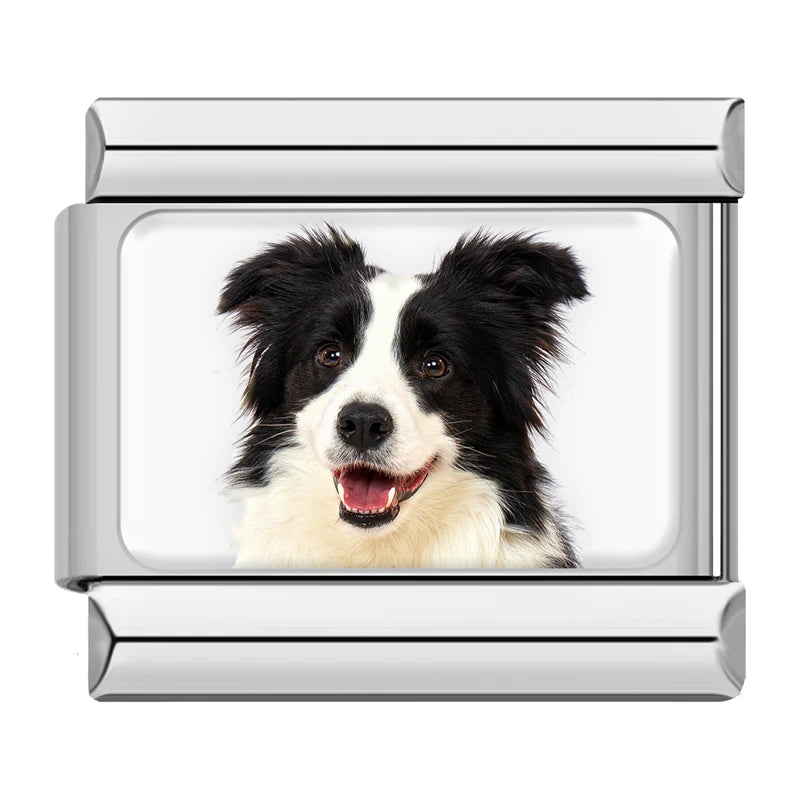 Charm Meu Doguinho - Blisca®