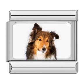 Charm Meu Doguinho - Blisca®