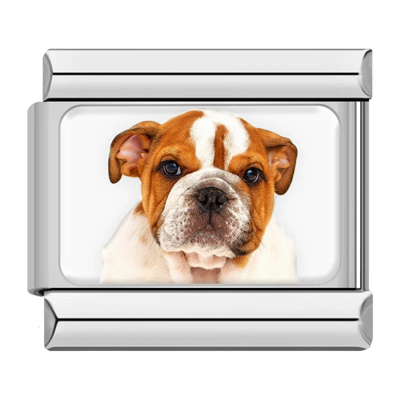 Charm Meu Doguinho - Blisca®