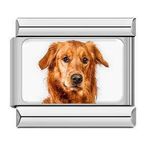 Charm Meu Doguinho - Blisca®