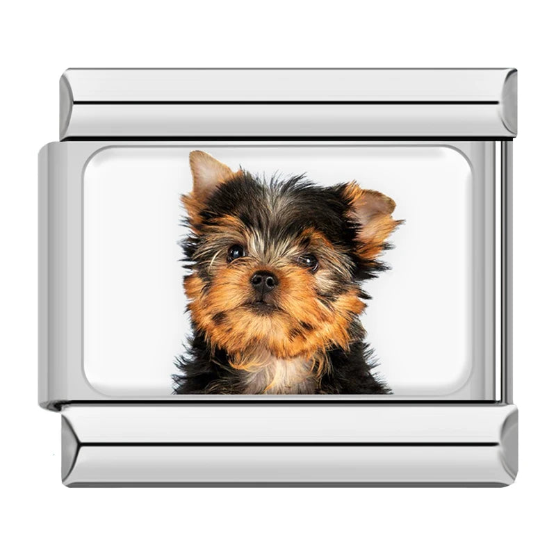 Charm Meu Doguinho - Blisca®