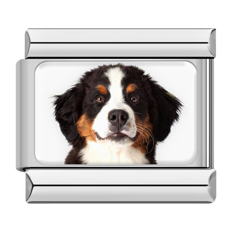 Charm Meu Doguinho - Blisca®