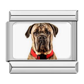 Charm Meu Doguinho - Blisca®