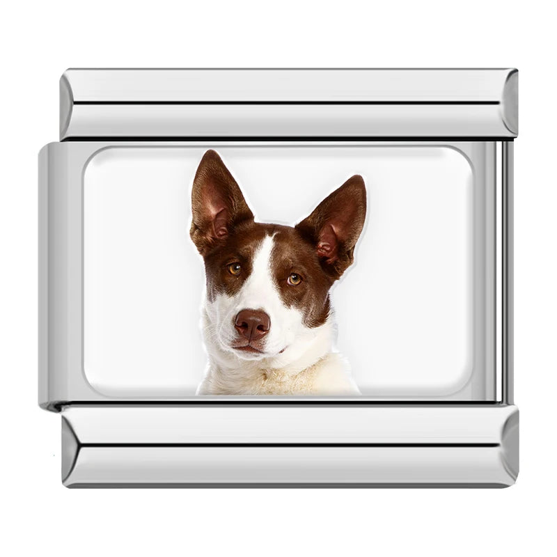 Charm Meu Doguinho - Blisca®