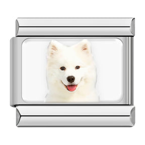 Charm Meu Doguinho - Blisca®