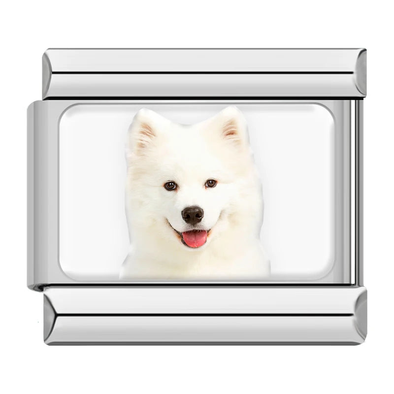 Charm Meu Doguinho - Blisca®